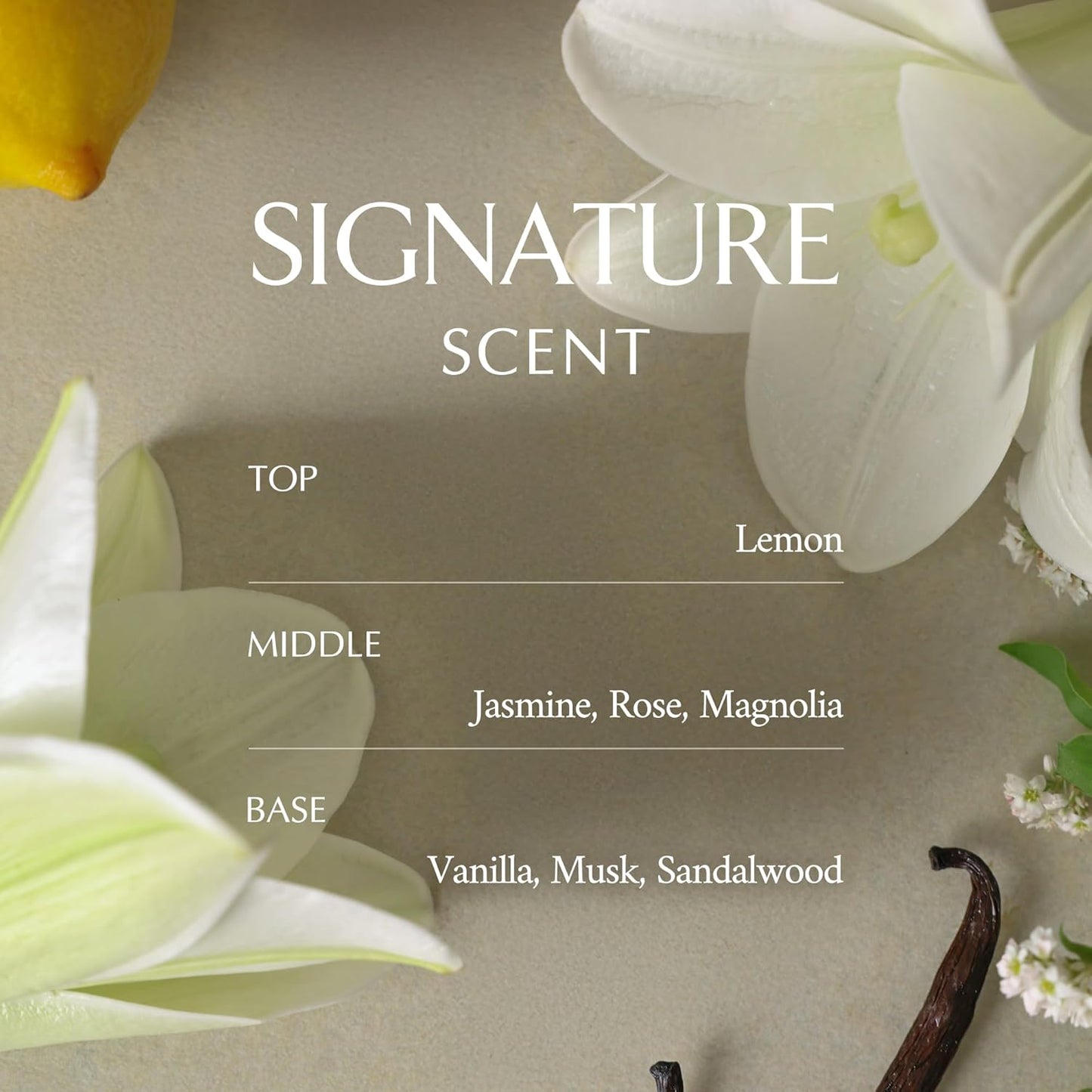 Perfume Body Lotion for Women(Floral Musk) | Body Cream for Women, Dry Skin with Shea Butter | Peptide Body Cream | Softens & Comforts Sensitive Skin with Non-Sticky Finish | Korean Skin Care